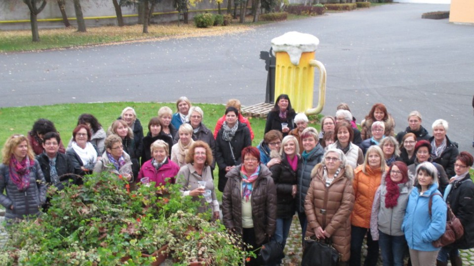 IMG_0402-1024×669-960×540